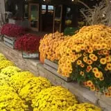 Molnar Farms photo