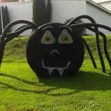 Molnar Farms photo