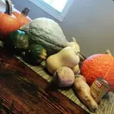 Molnar Farms photo