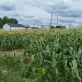 Molnar Farms photo