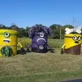 Molnar Farms photo