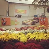 Molnar Farms photo
