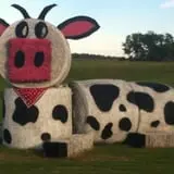 Molnar Farms photo