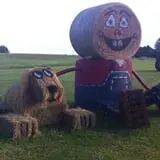 Molnar Farms photo