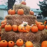 Molnar Farms photo