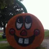 Molnar Farms photo