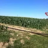 Molnar Farms photo