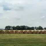 Molnar Farms photo