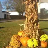 Molnar Farms photo