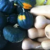 Molnar Farms photo
