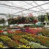 Herman's Farm photo