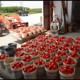 Herman's Farm photo