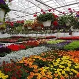 Herman's Farm photo