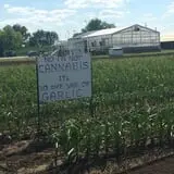 Herman's Farm photo