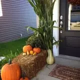 Herman's Farm photo