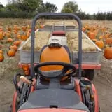 Herman's Farm photo