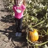 Herman's Farm photo