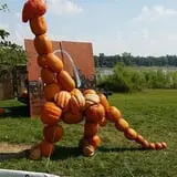 Herman's Farm photo