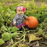 Herman's Farm photo
