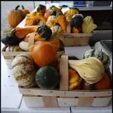 Herman's Farm photo