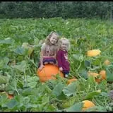 Herman's Farm photo