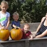 Herman's Farm photo