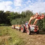 Herman's Farm photo