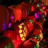 Experience The Mini Carving Factory!