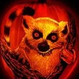 5,000 Hand Carved Jack O'Lanterns