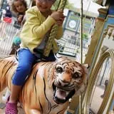 Bump in the Night at Frick Park photo