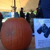 Bump in the Night at Frick Park photo
