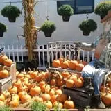 Phantom Farms photo