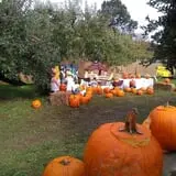 Phantom Farms photo