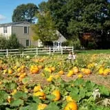 Phantom Farms photo