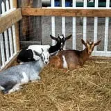 Phantom Farms photo
