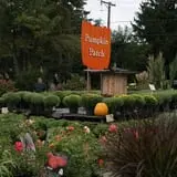 Phantom Farms photo