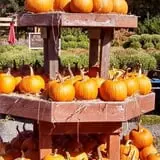 Phantom Farms photo