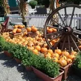 Phantom Farms photo