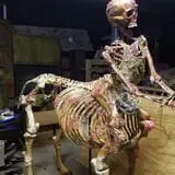 Farmington Fright Fest photo