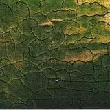 Walla Walla Corn Maze photo