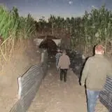 Walla Walla Corn Maze photo