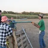 Walla Walla Corn Maze photo