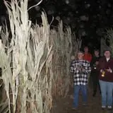 Walla Walla Corn Maze photo