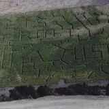 Walla Walla Corn Maze photo