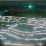 Walla Walla Corn Maze photo