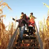 Walla Walla Corn Maze photo