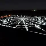 Walla Walla Corn Maze photo