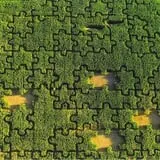 Walla Walla Corn Maze photo