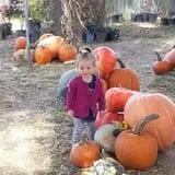 Holly Acres Tree Nursery and Garden Center photo