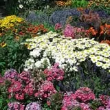 Holly Acres Tree Nursery and Garden Center photo
